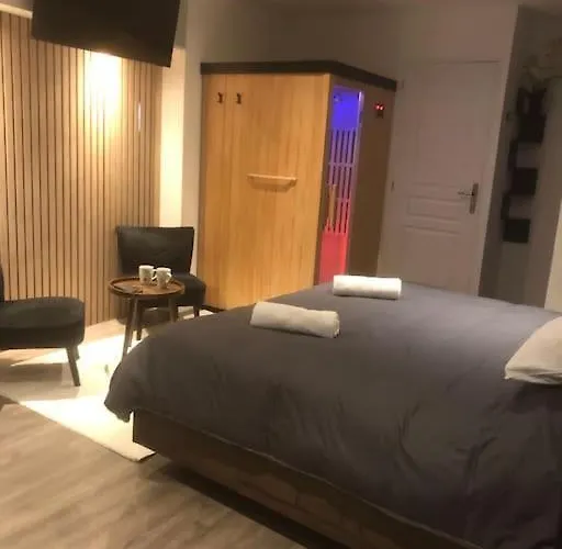 Elegant Studio Avec Sauna Hyper Centre